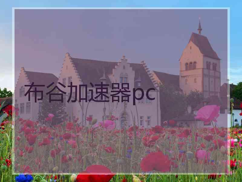 布谷加速器pc